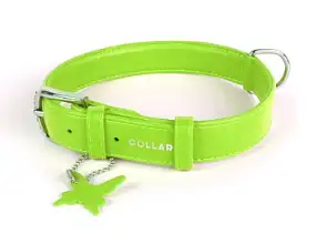 СКИДКА COLLAR ошейник для собак без украшений (зеленый)