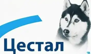 Цестал Плюс