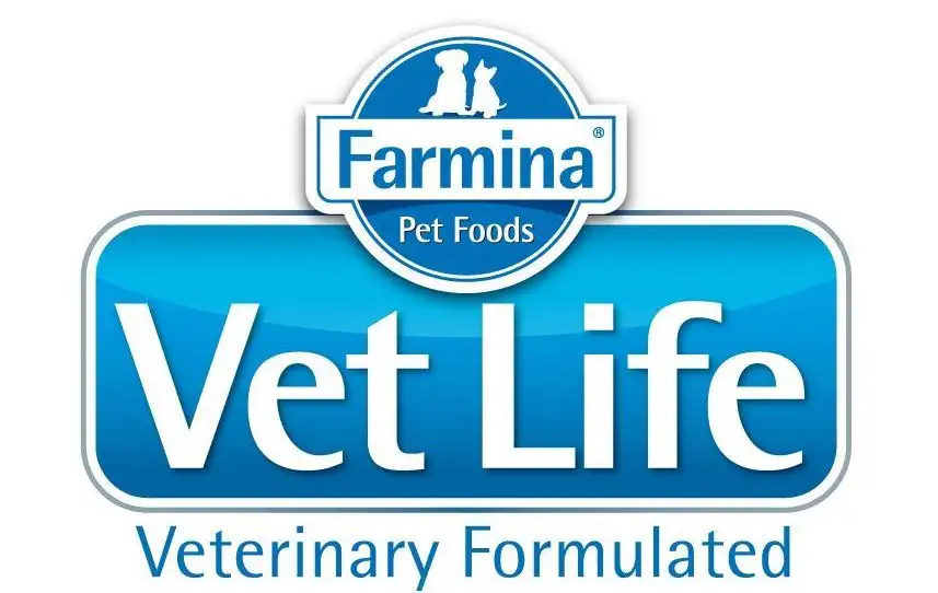 3af7b39f550e6c3a40921f471461fbbf.jpeg