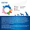 Monge VetSolution Dog Diabetic сухой корм для взрослых собак всех пород при сахарном диабете #3