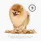 Furminator XS для собак карликовых пород с длинной шерстью #5